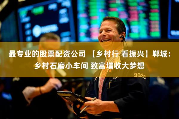 最专业的股票配资公司 【乡村行 看振兴】郸城：乡村石磨小车间 致富增收大梦想