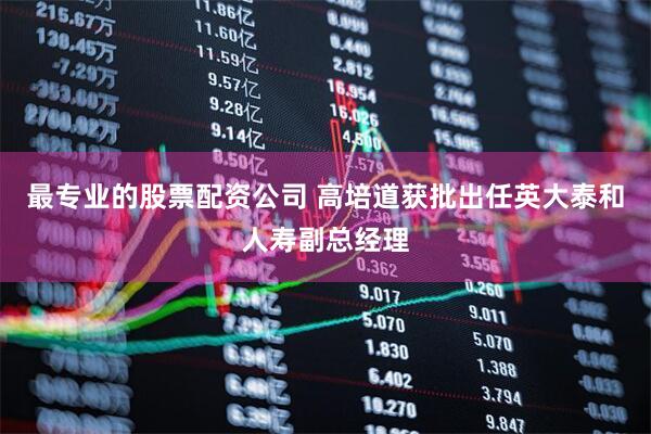 最专业的股票配资公司 高培道获批出任英大泰和人寿副总经理