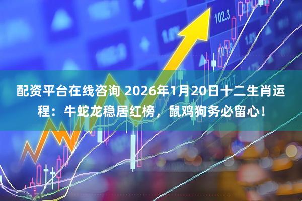 配资平台在线咨询 2026年1月20日十二生肖运程：牛蛇龙稳居红榜，鼠鸡狗务必留心！